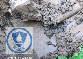 和龙水管漏水检测公司5